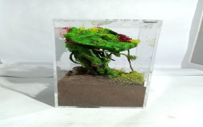 Kandang Tarantula Dekorasi Arboreal 10 x 10 x 20